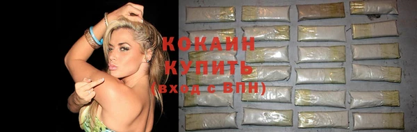 хмурый Богородицк
