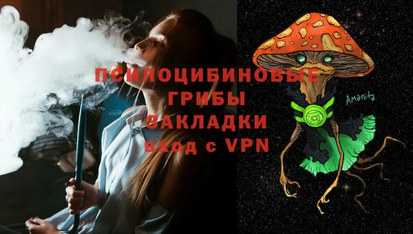 хмурый Богородицк