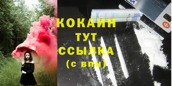 хмурый Богородицк