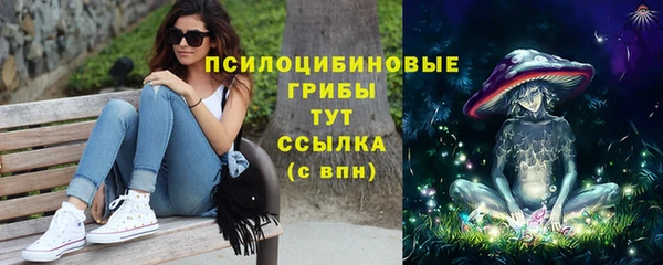 хмурый Богородицк