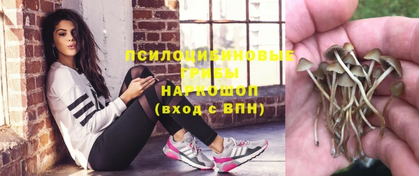 марки nbome Богданович